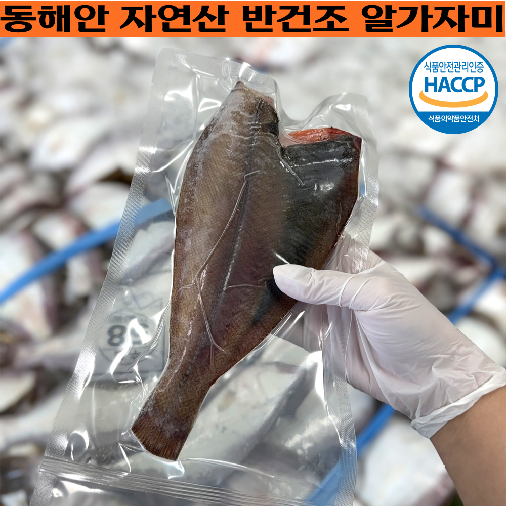 [ 반건조 알가자미 ] 동해안 반건조 참가자미 알가자미 국내산 가자미 4미 8미, 1개, 반건조 알가자미 8미 87,670원