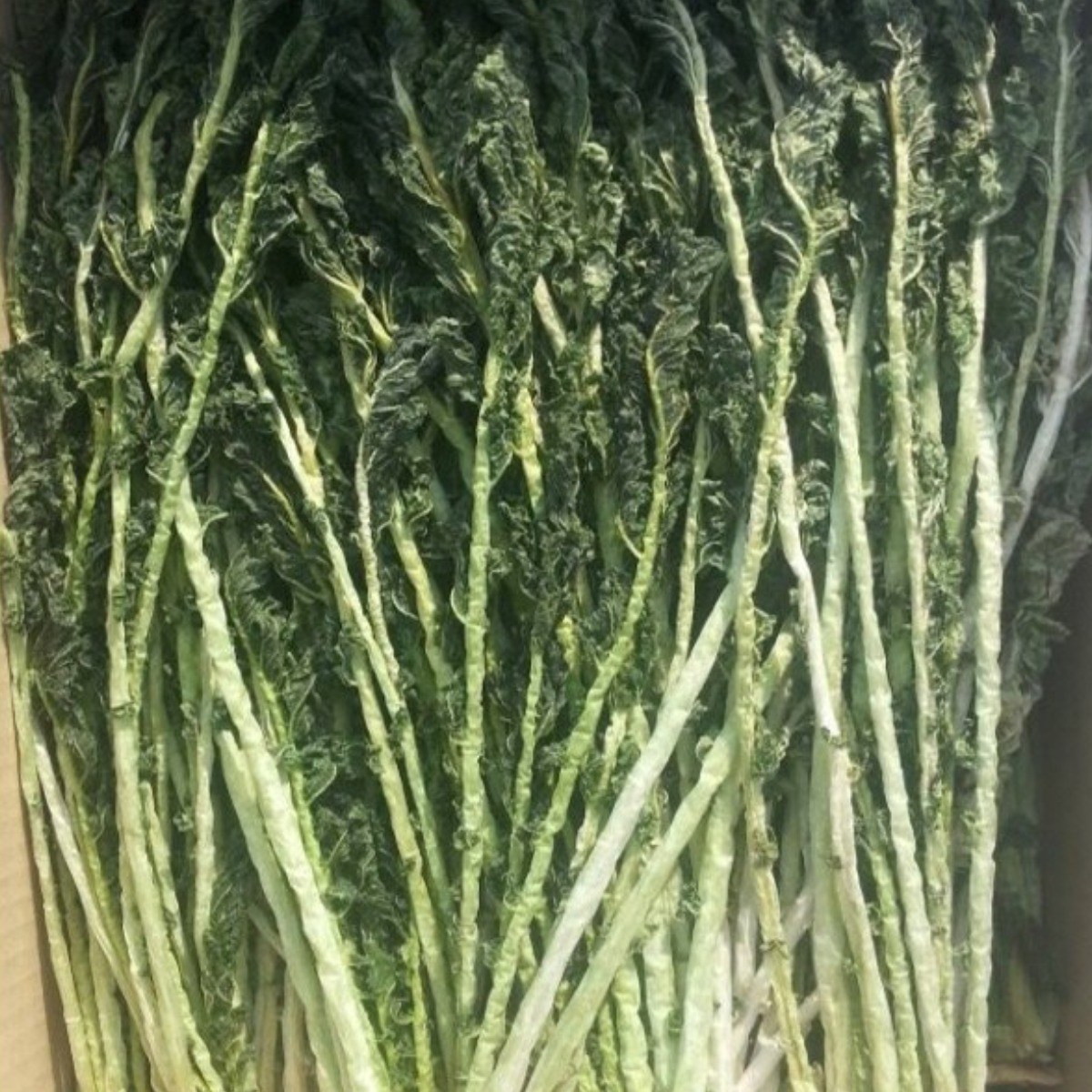 2026년 햇 건시래기 3kg/ 시래기 /펀치볼시래기/양구햇시래기 /무청시래기/ 1k*3박스, 3박스, 3kg 70,500원