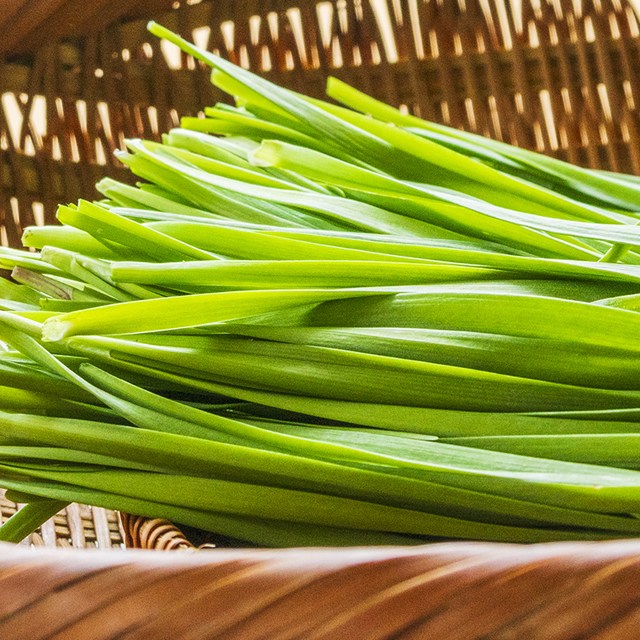 친환경 무농약 부추 1kg 2kg, 1박스, 2kg 22,900원