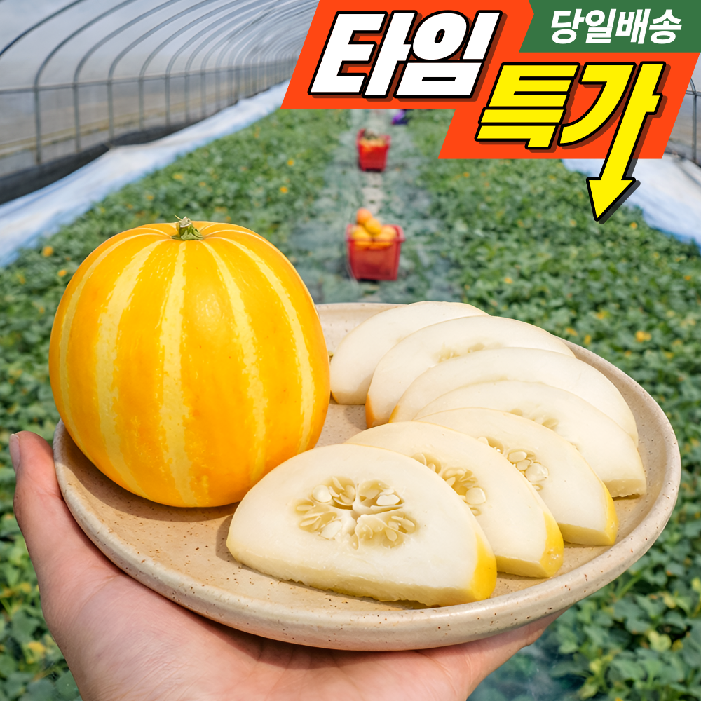 [재구매폭주]초고당도brix 성주 참외 햇 가정용 10,900원