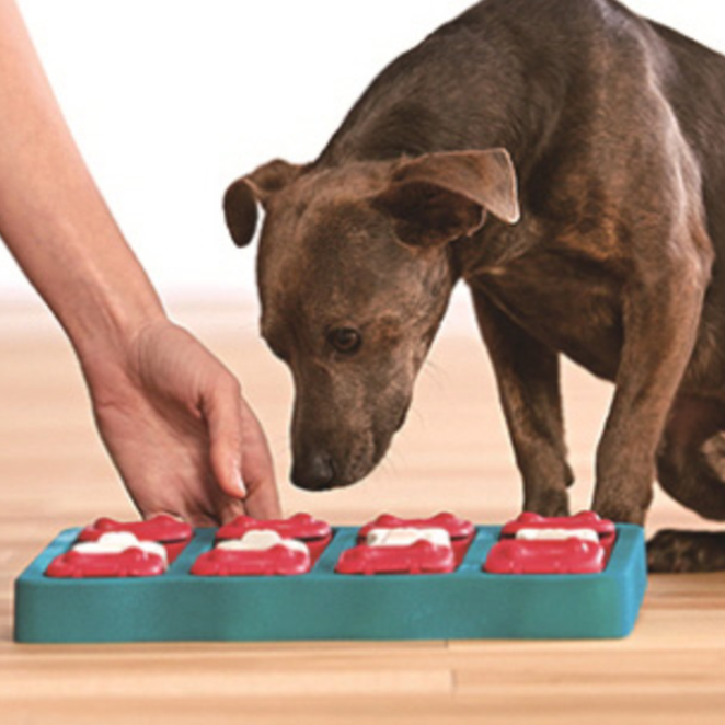 니나오토슨 퍼즐 노즈워크 장난감 도그브릭 20,880원