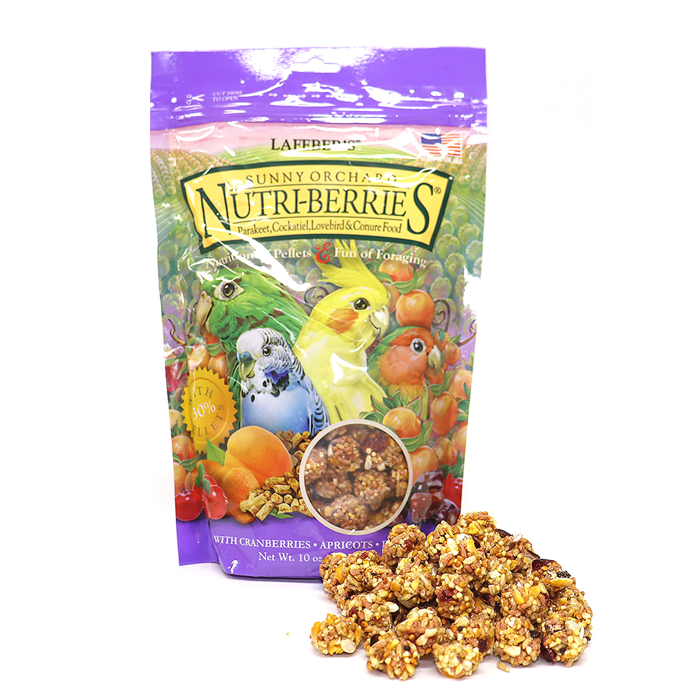 라페버스 써니 오차드 라페볼 사료 간식 왕관 모란 코뉴어 퀘이커 사랑앵무 28,040원