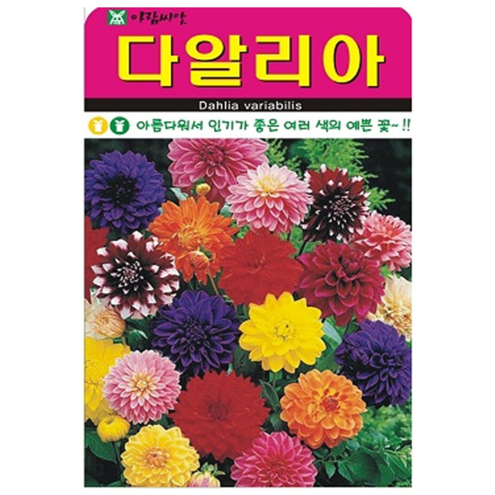 다알리아 꽃 씨앗 (합 200립) 꽃씨 종자, 5개 10,610원