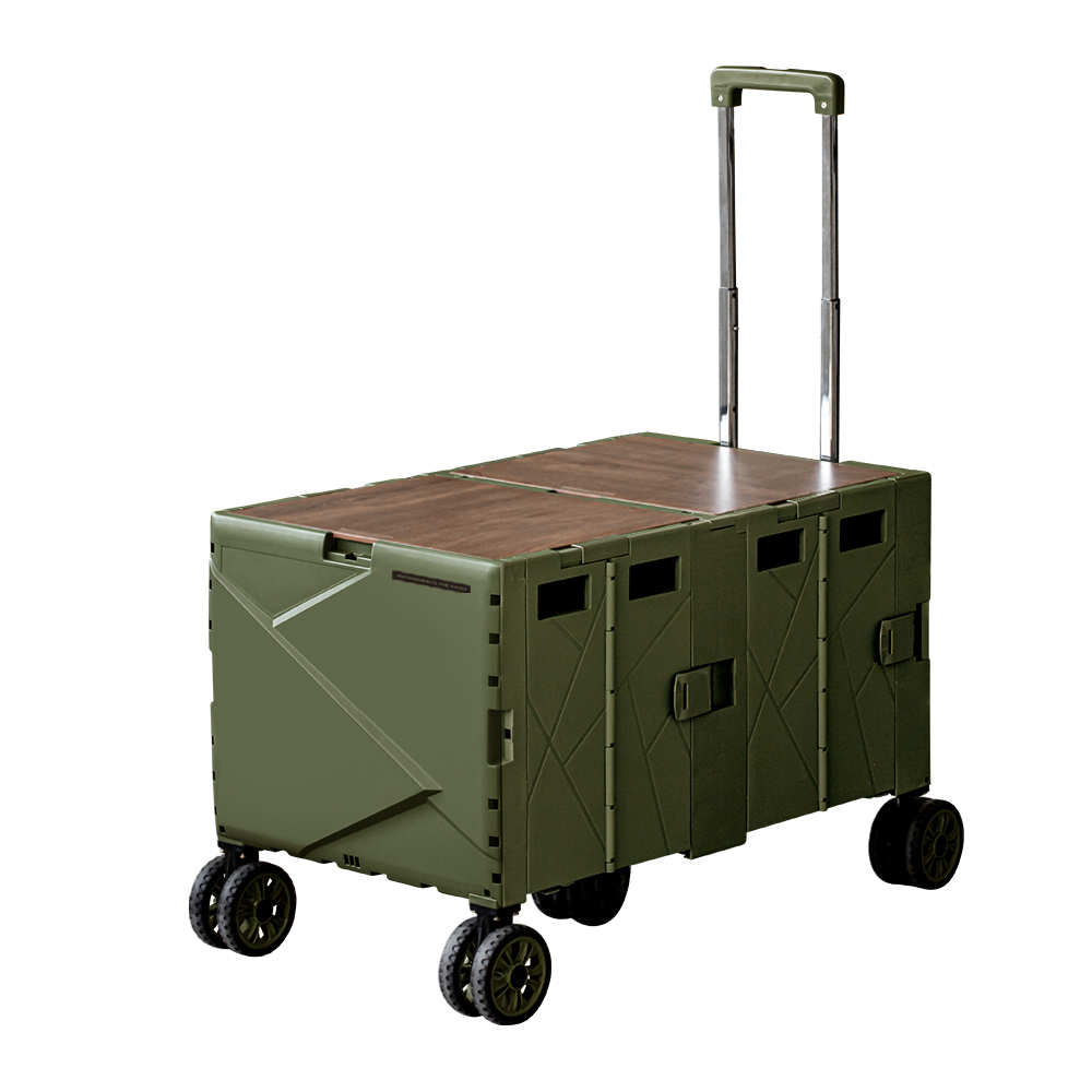 로티홈시스 접이식 카트 쇼핑 마트 폴딩 손수레 시장바구니 장바구니 캐리어 FCW-810 131,000원