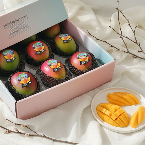 [망고성지] 항공직송 고당도 애플망고 선물세트 당도선별, 1박스, 항공직송 애플망고 9과 (4KG내외) 86,910원