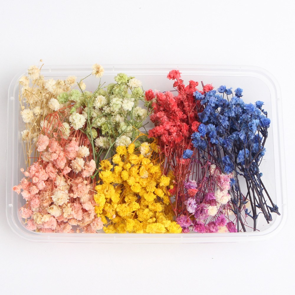 화연양화 프리저브드 드라이플라워 꽃세트 12종 수공예 DIY 9,900원