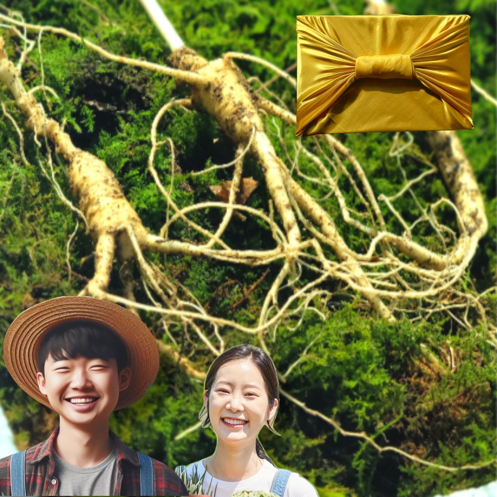 한울산삼 정품 산양산삼 7년 8년 산삼, 10개, 4g 95,800원