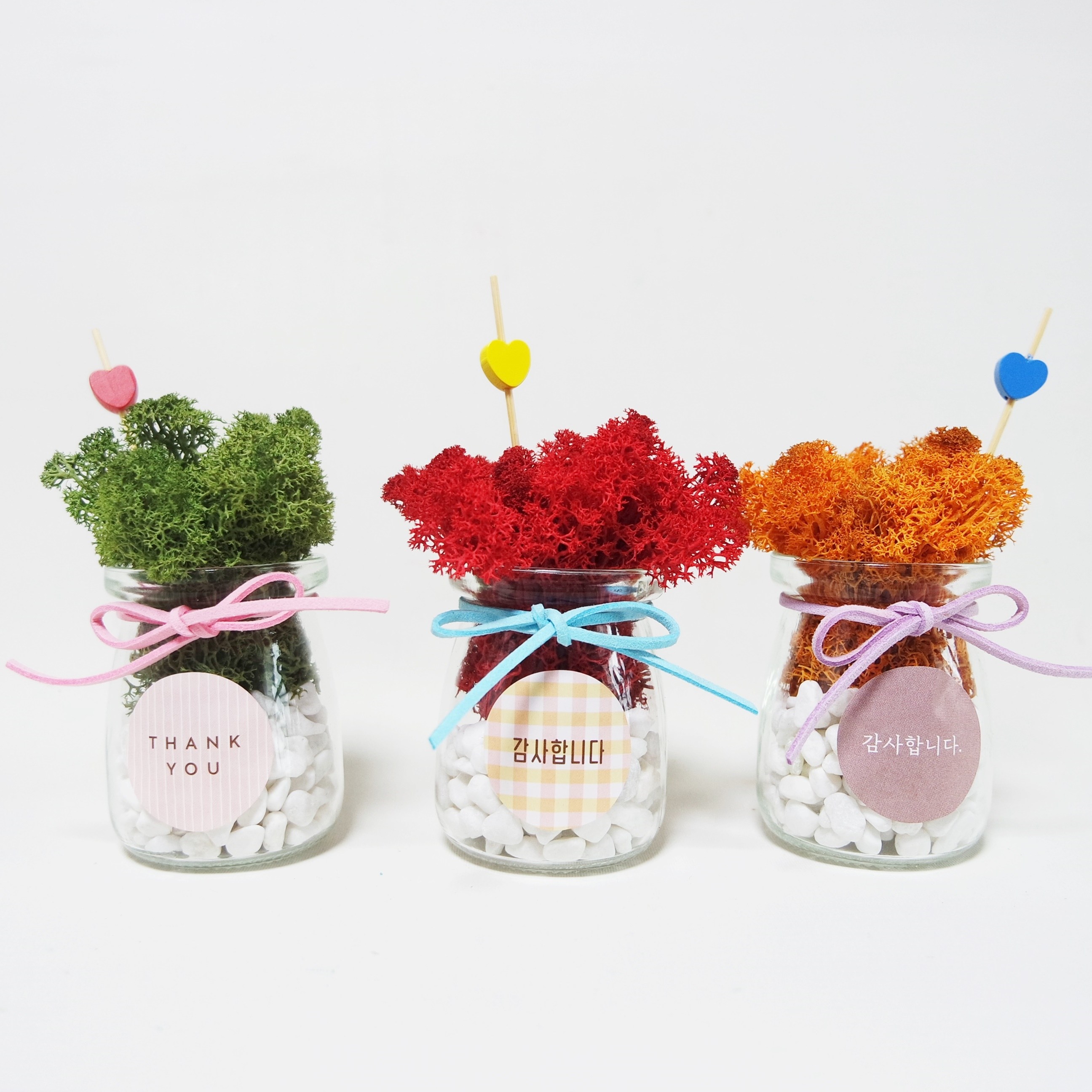 스칸디아모스 푸딩병 화분 키트 색상선택 공기정화 답례품 5,800원