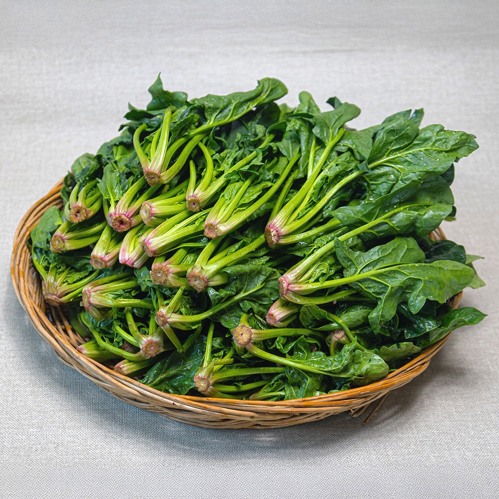 제철 국산 신선한 시금치 산지직송 [JCK], 1박스, 500g 7,900원