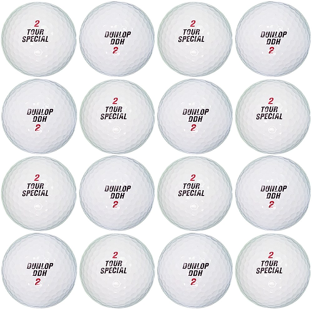 던롭 재팬 투어스페셜 2피스 A-급 로스트볼 16개, 16개입, 1세트, 화이트 10,000원