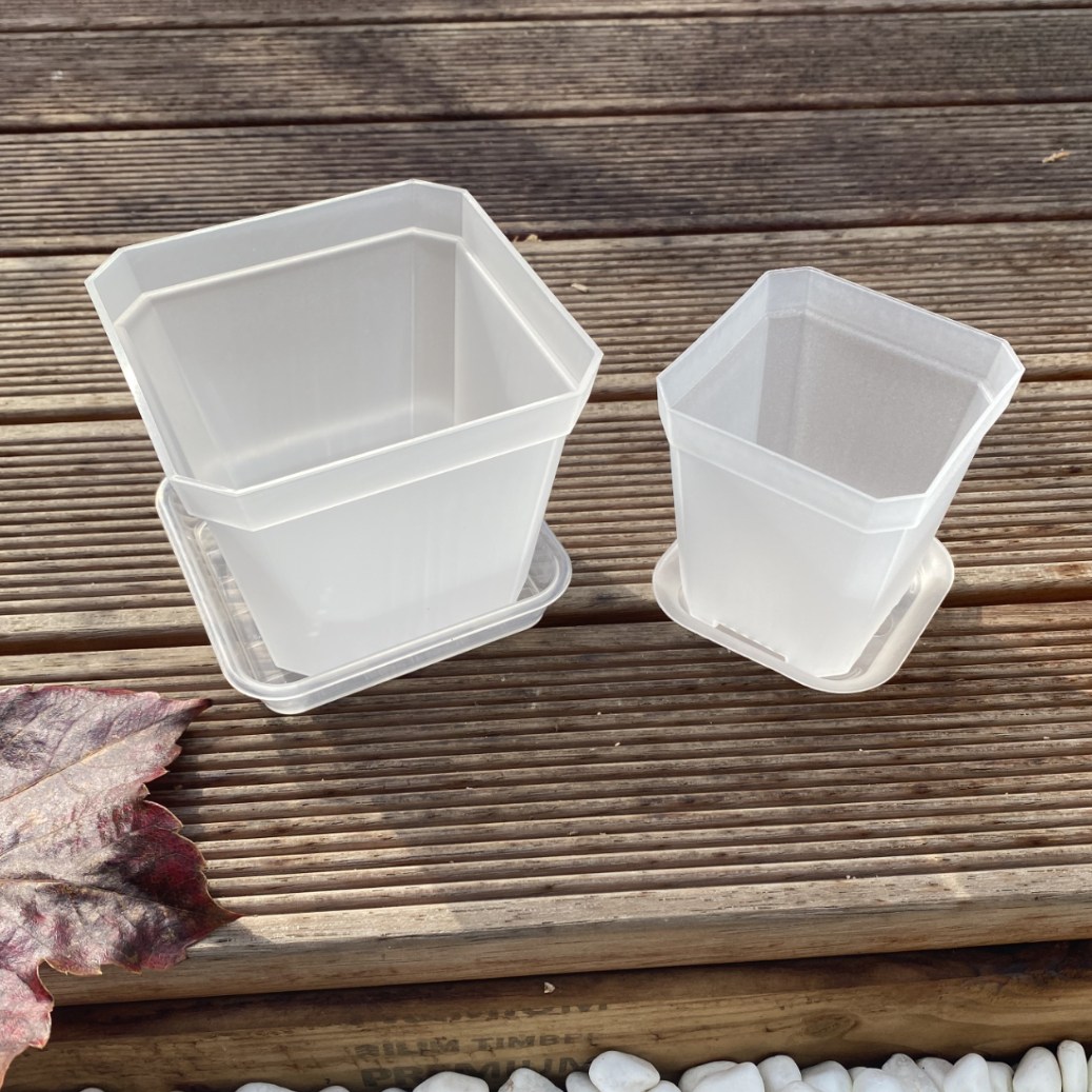 쵸록101 투명 사각 화분 받침 세트, 1개, 투명 500원