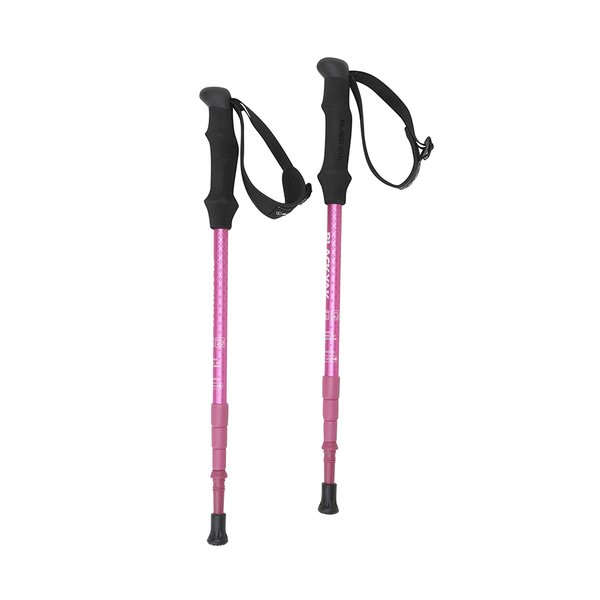 블랙야크 BLACKYAK 25년 4단스틱C_120B (2BYSTXU904), T/BLUE 169,400원