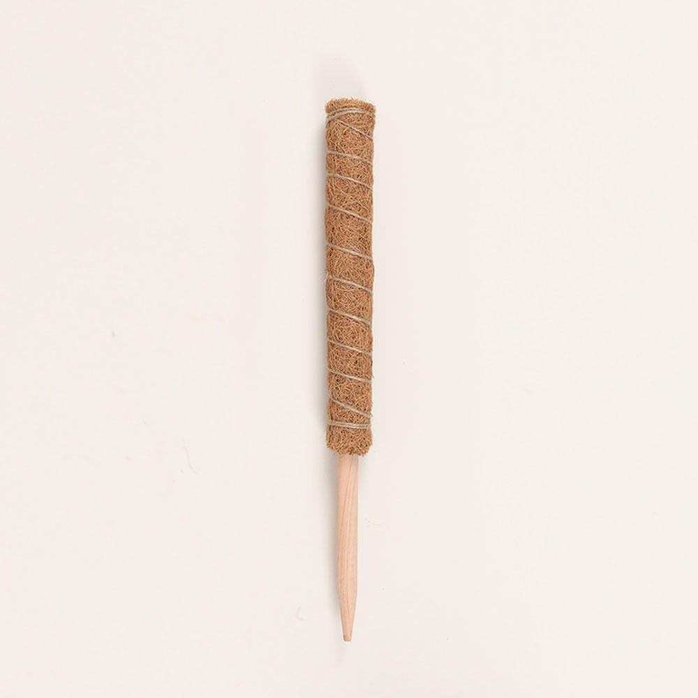 플레노 코코봉 식물지지대 우드 슬림형 40cm 4,700원