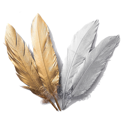 (주)아트인 골드&실버 깃털(10개), 골드 3,000원