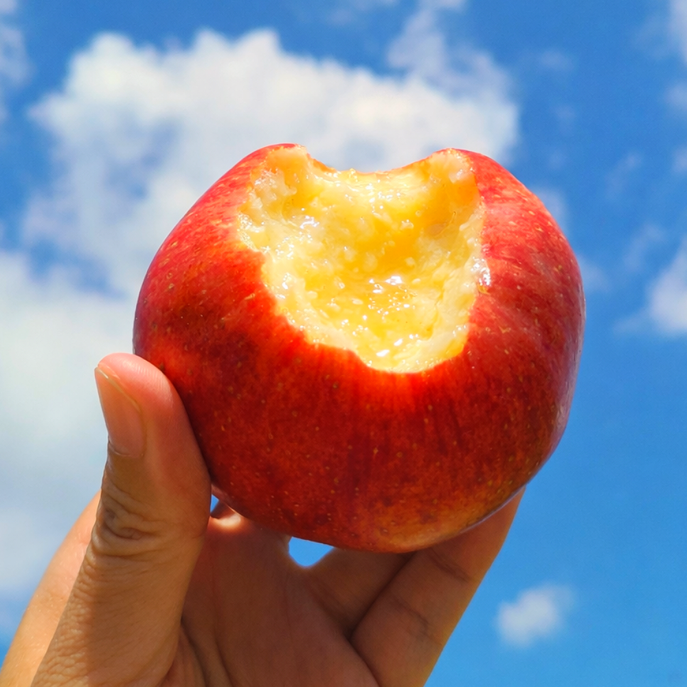 [당도선별발송] 부사 사과, 1개, 고당도)_5KG(M-S) 베스트 31,900원