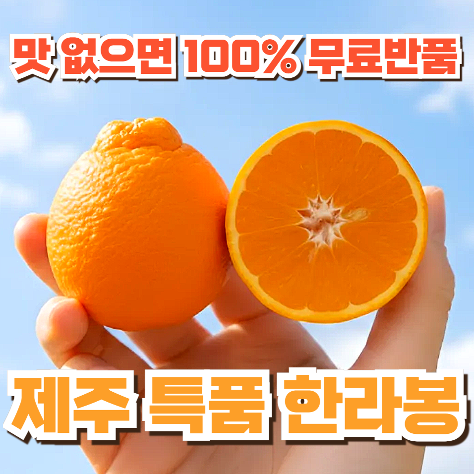 [타임특가] 달찌네 고당도 특품 제주 한라봉 12,900원