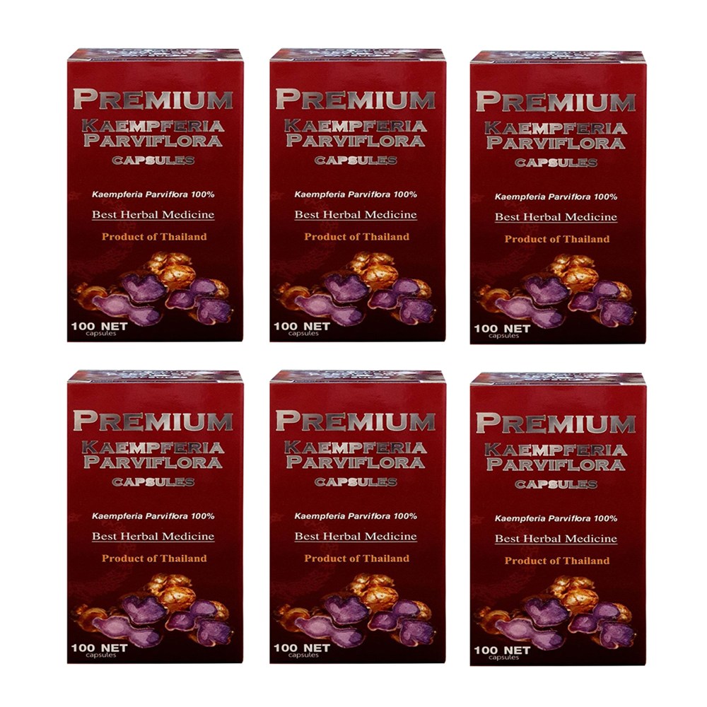 태국 교민가 프리미엄 흑생강 끄라차이담 파비블로라 검은생강 캡슐, 6개, 100정 146,240원