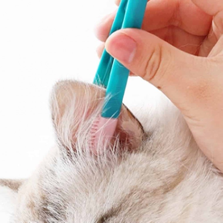 애견미용 반려동물 애견위생 애묘용품 눈 브러시 위생빗 클렌징 5,320원