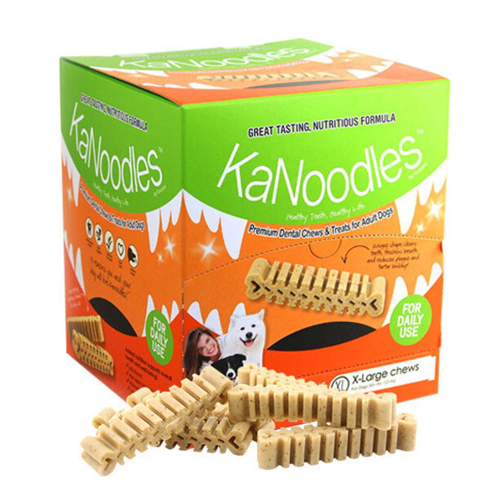 포켄스 강아지 카누들 플러스 필로팩 XL 덴탈껌 20P 강아지껌 잇몸 55,500원