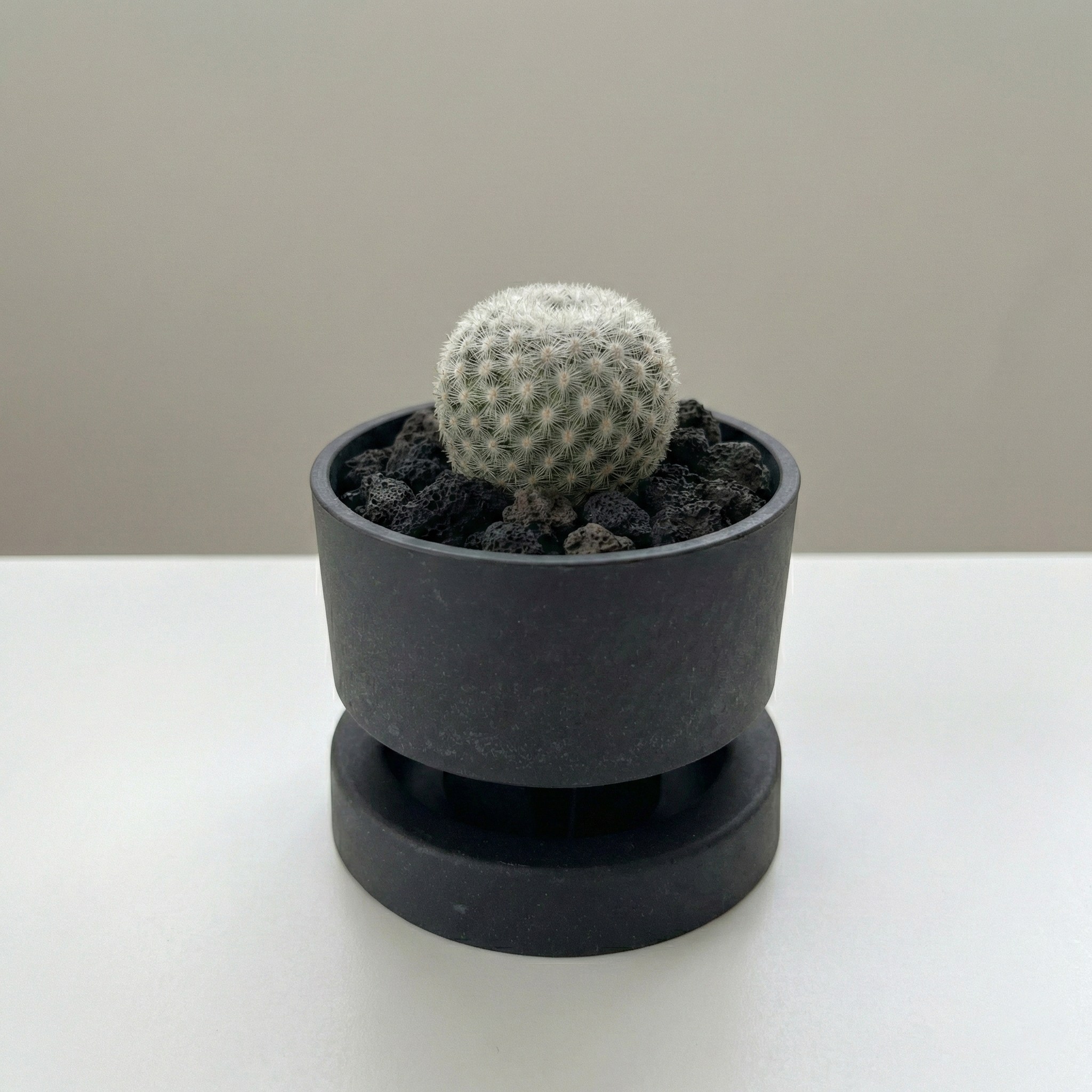 미니화분 소형 다육이화분 물받이 포함 친환경 그래버 화분 [행운팟], 빈티지블랙, 1개 10,000원