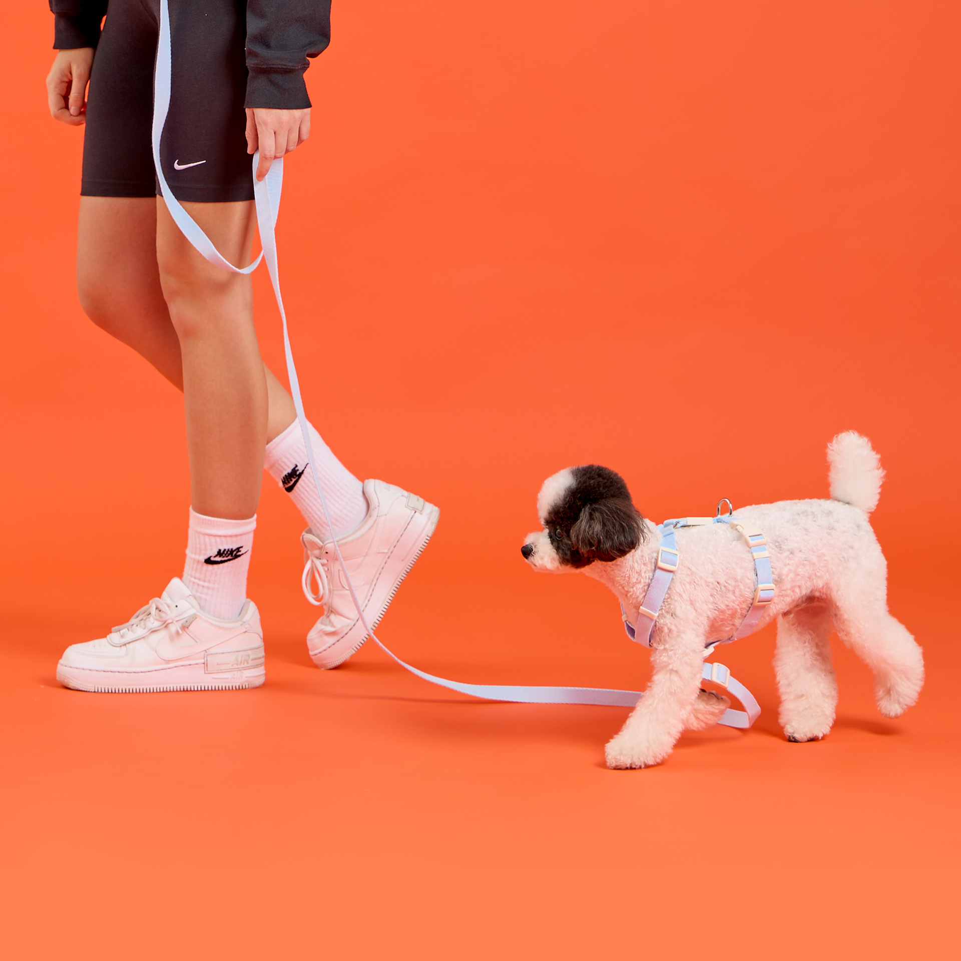 [773PAW 국내산 강아지 리드줄] 강아지 산책용 리드줄 리쉬 16,900원