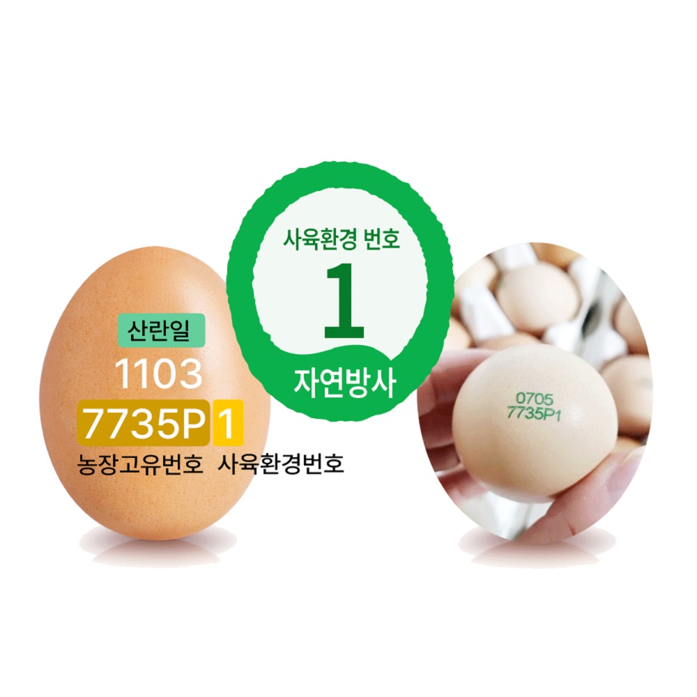 자연방목 유기농 자연방사 유정란 난각번호 1번 동물복지 유정란 달걀 무항생제 35,000원