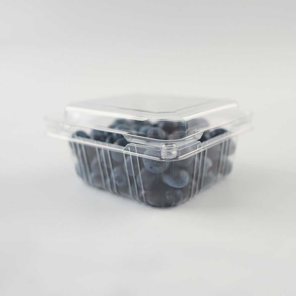 과일 방울토마토 체리 250g 블루베리 300g 포장 용기 TIP-351 [750개] 117,950원