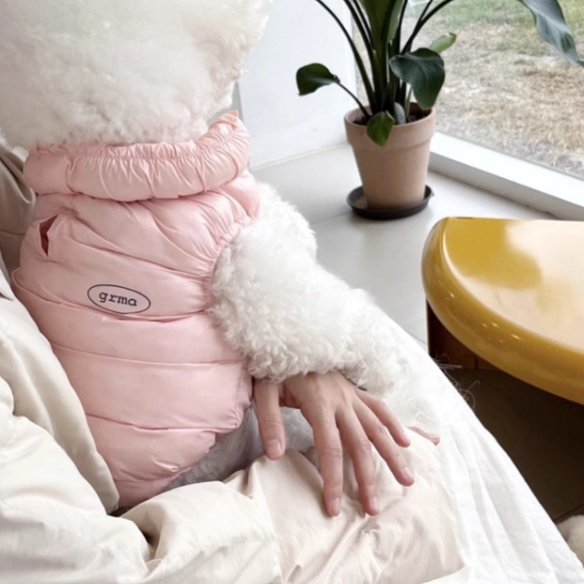 샤론넘버 강아지 패딩 조끼 겨울 16,800원