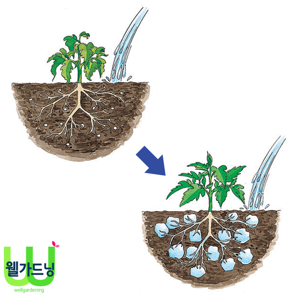 조이가든센터 소브소일 2kg- 토양보습제 35,000원