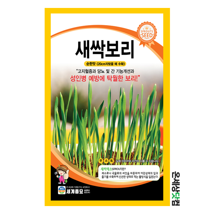 새싹보리 500g / 새싹보리씨앗 새싹보리씨 새싹씨앗 새싹키우기 수경재배 15,000원