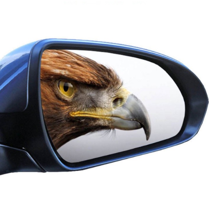 이글아이 사이드미러 발수 방수 김서림방지 코팅필름, 1개 12,800원