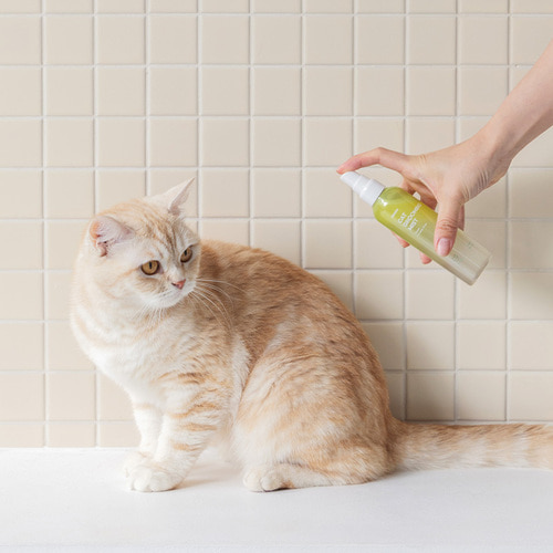[이눔] 고양이 저자극 냄세제거 모발영양 각질 수딩 보습제 캣 그루밍 미스트 120ml(유통기한 26년7월18일), 1개, 120ml, 현재가 9,800원