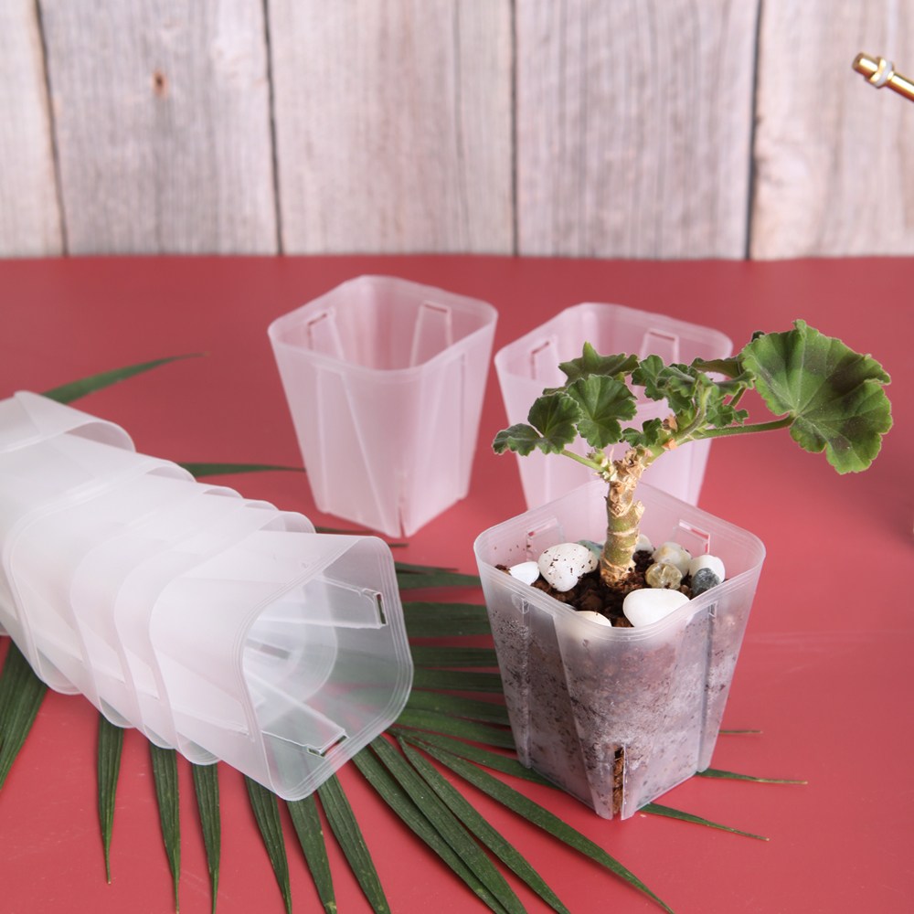 일본 투명사각 삽목화분 EG 9,000원