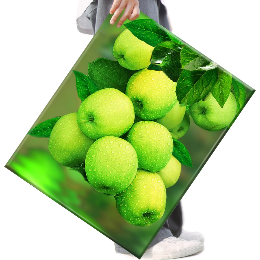 FASEN 액자 보석십자수 캔버스형 DIY 키트 40 x 50 cm, FAN06, 1세트 20,900원