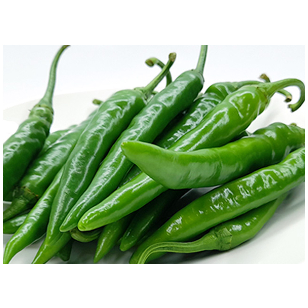 야채왕 아삭이고추 오이고추 200g/ 500g/ 1kg/ 5kg/ 10k 43,900원