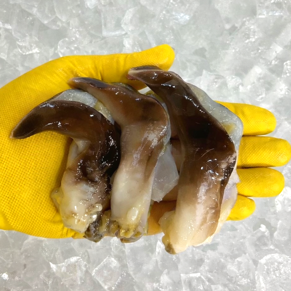 고수율선별 여수 손질 새조개, 1개, 500g 46,900원