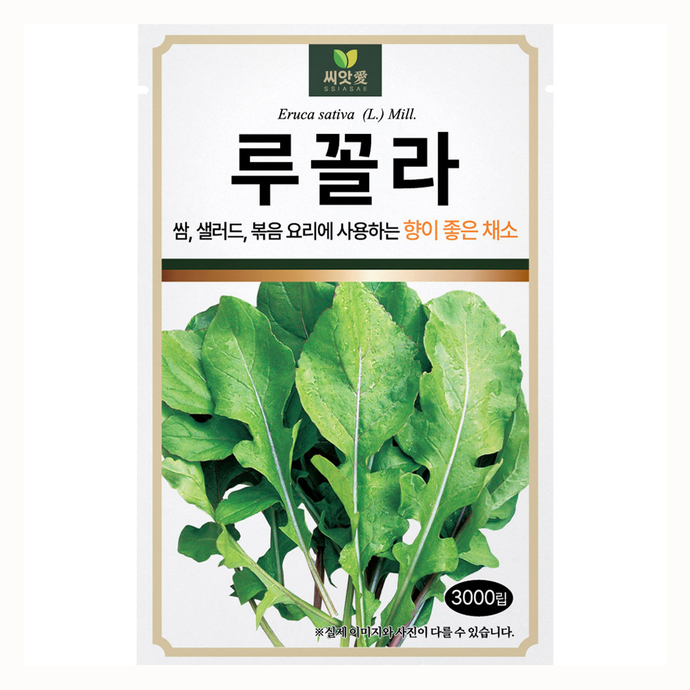 다농 씨앗애 루꼴라 씨앗 3000p 3,500원