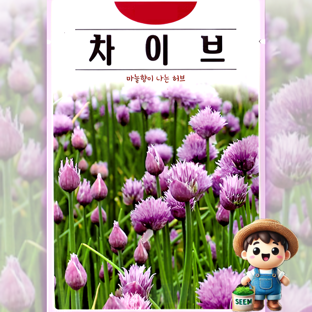 KS종묘 차이브100립 허브 꽃씨 씨앗 종자, 1개 3,000원