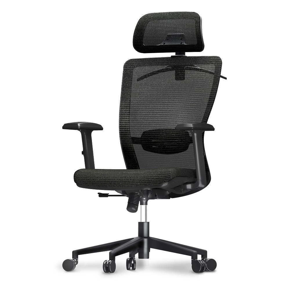 FlexiSpot 사무용의자 OC3 더블메쉬 하중136KG 튼튼한컴퓨터의자 편안함 메쉬의자 A/S 3년 고품질, 블랙 185,000원