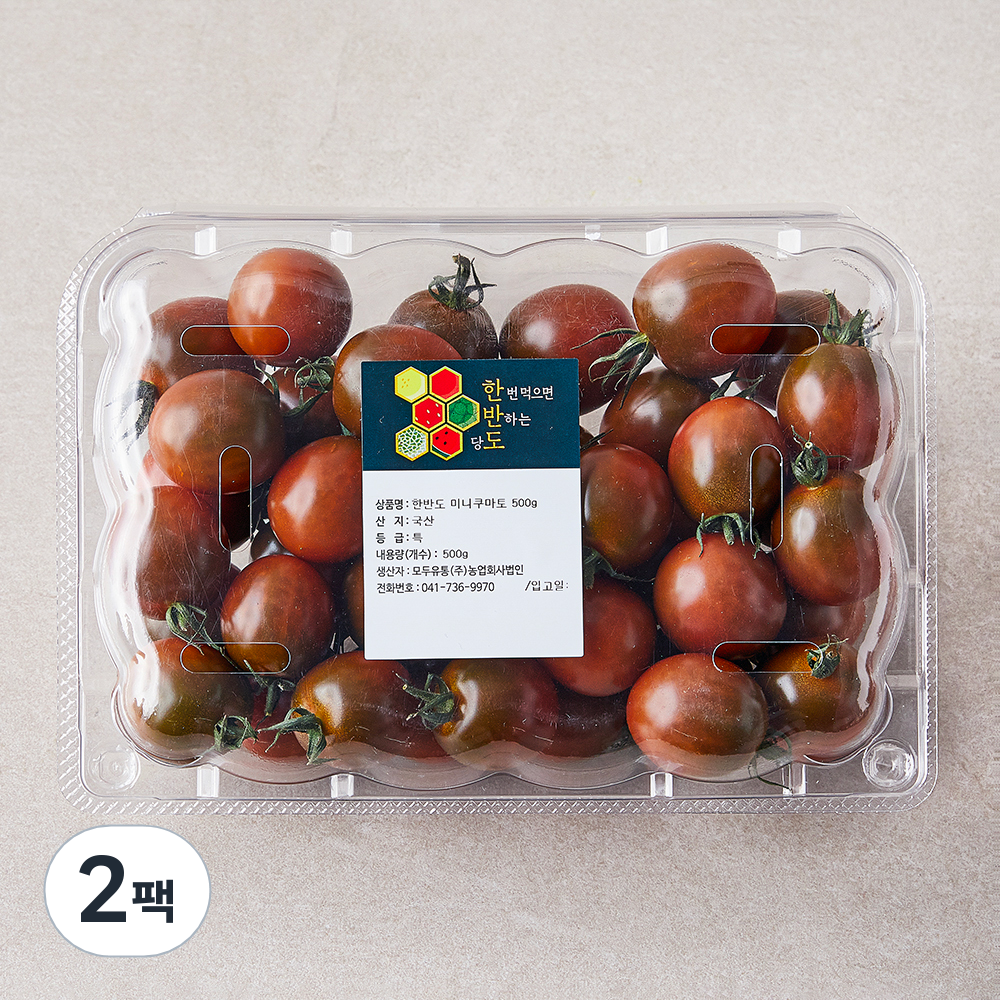 [로켓프레시] 한반도 쿠마토 미니, 현재가 11,740원