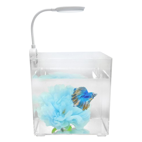 칸후아쿠아리움 블링블링 베타 꽃침대 어항 세트 10,800원