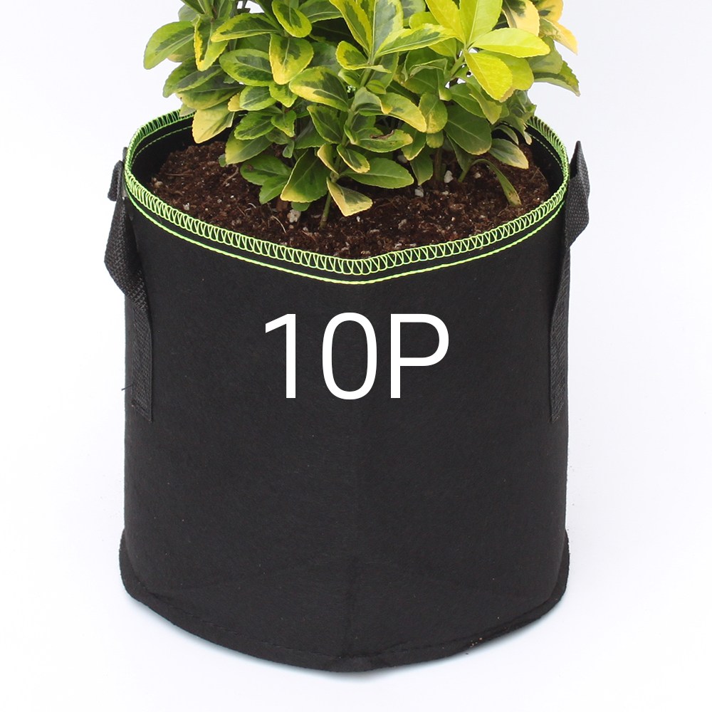 부직포 화분(묶음) 숨쉬는화분 다용도 친환경 실내 베란다 텃밭 대형화분, 현재가 35,480원