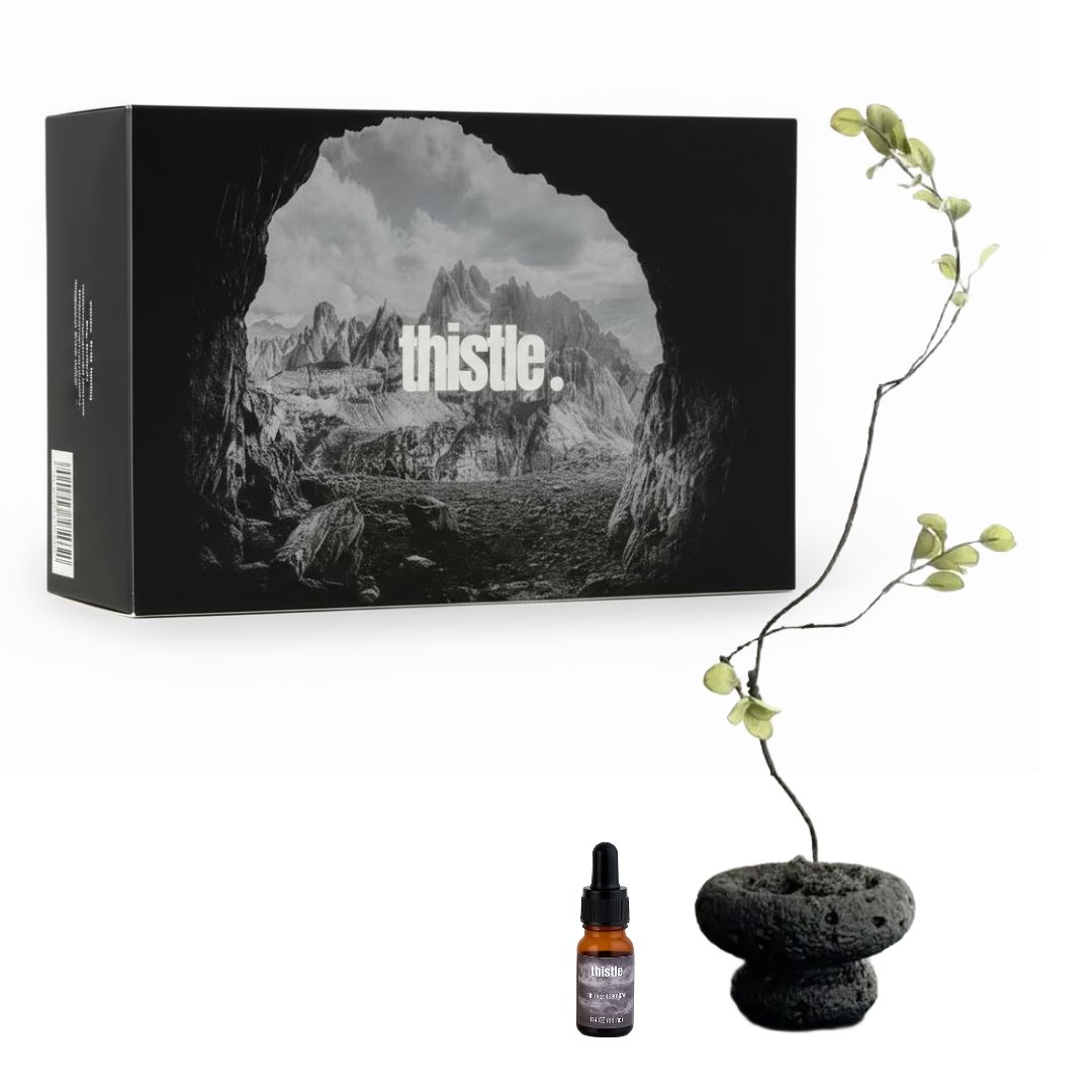 티슬 화분 스톤 디퓨저 화산석 아로마 오일 집들이 선물 세트 홈데코, 1개, 산책 29,900원