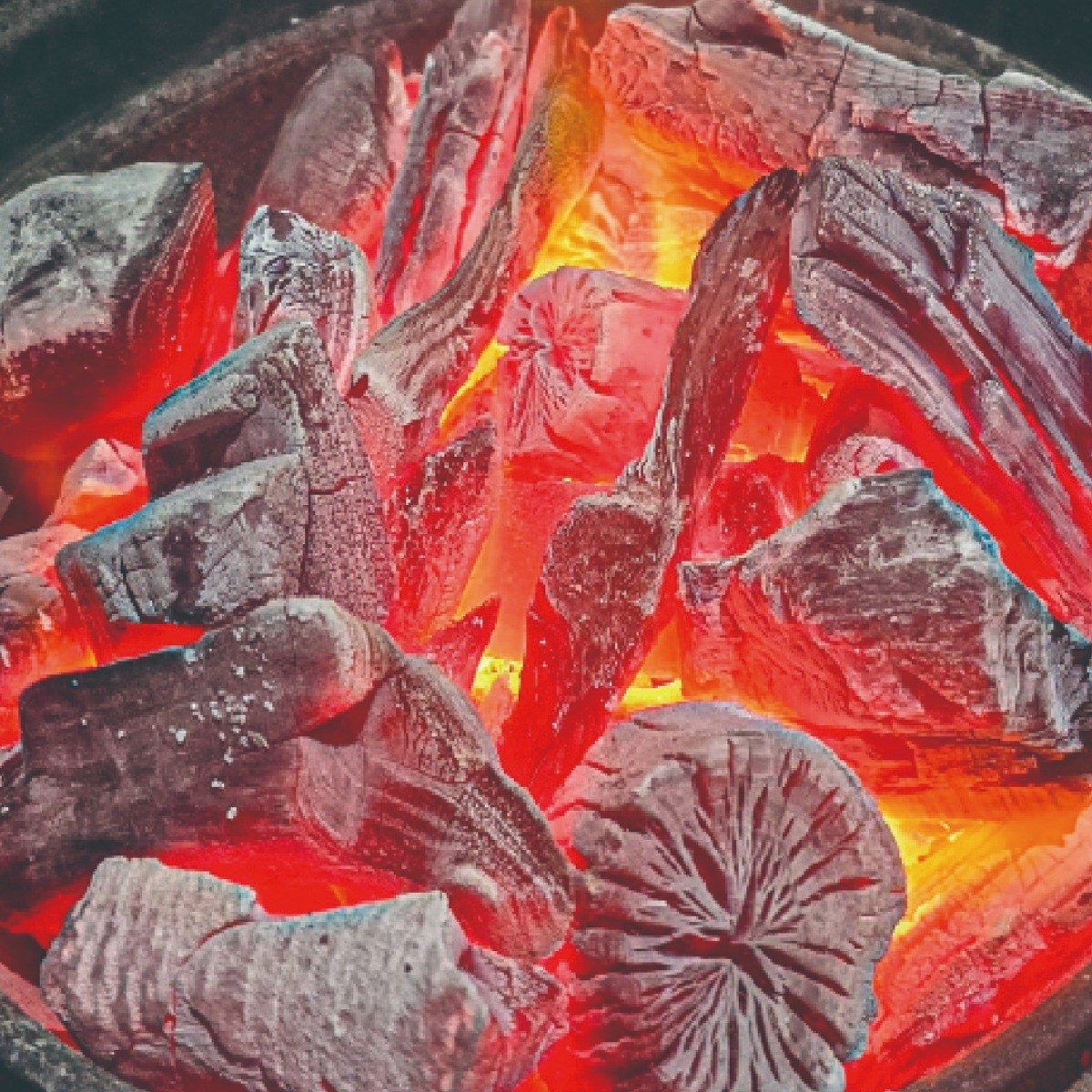 프리미엄 참숯 백탄 비장탄 비장참숯, 1개, 1kg 8,420원