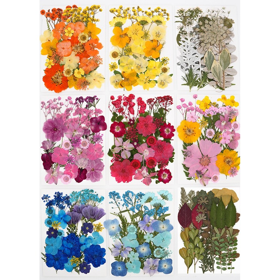 압화 드라이플라워 E형 세트 드라이 플라워 꽃 장식 보존화 재료 미니 소품 만들기 9,900원