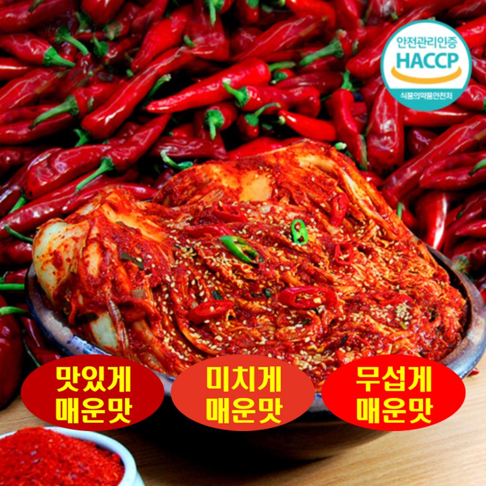 국중석 맛있는 전라도 명품 매운맛 3단계 배추불김치 미치게매운맛 5kg, 1개, 5kg 99,900원