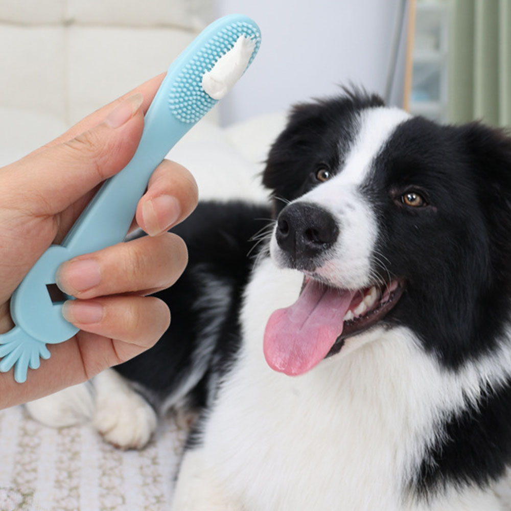 허그마이펫 반려동물 실리콘 칫솔 3종 세트 15cm 탄력, 1세트, 혼합색상 11,600원