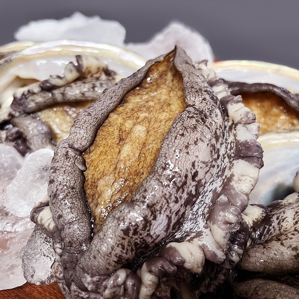 [바다농장] 완도 활 전복 산지직송, 1개, 2kg(특특대 5~6미) 총10~12마리 140,000원