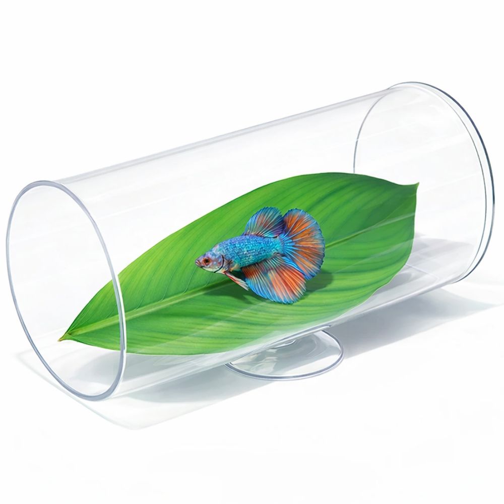 파인다즈 어항 은신처 터널 베타침대, 1개 6,500원