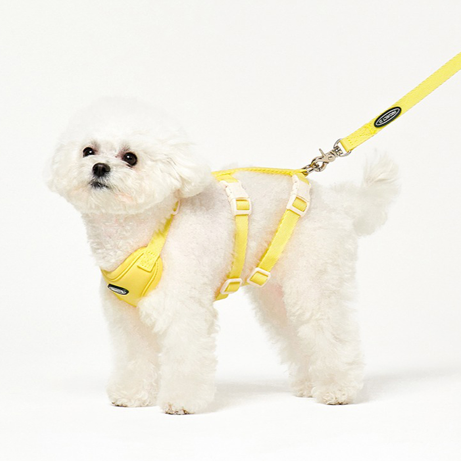 프로젝트21 강아지 리프팅 관절 보호 하네스 + 리쉬 세트, 레몬, 1세트 46,900원